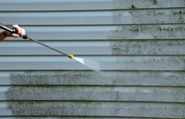 Best Mold Remediation Services  in Spring Valley, NV